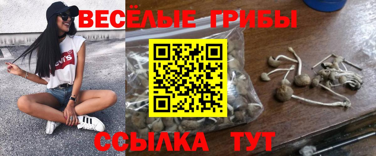 Псилоцибиновые грибы Magic Shrooms Губкин