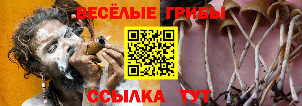 Губкин  Псилоцибиновые грибы Magic Shrooms  Вход с VPN 